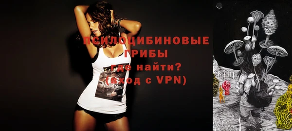 стаф Михайловск