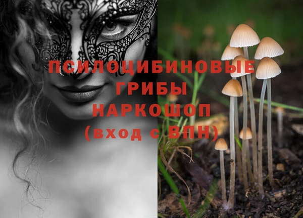 гидра Михайлов