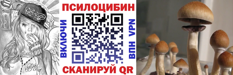 Галлюциногенные грибы Psilocybe  ОМГ ОМГ вход  Нестеров 
